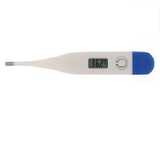Brannan Electronic Oral Thermometer