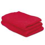 Scarlet Cellular Blanket