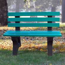 Park Seat with Back