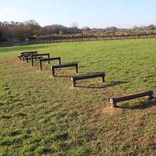 Log Hurdles