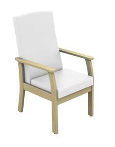 Atlas Patient Mid Back Arm Chair