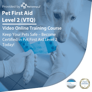 Pet First Aid Level 2 (VTQ)