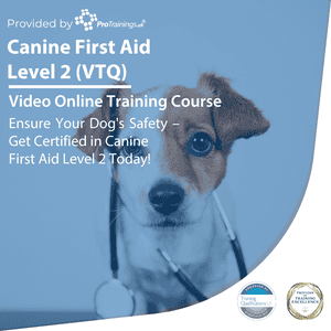 Canine First Aid Level 2 (VTQ)