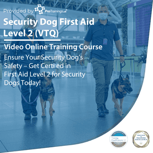 Security Dog First Aid Level 2 (VTQ)