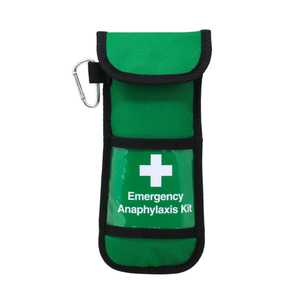 Insulated AAI Carry Case - Empty