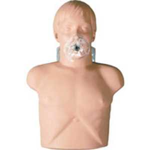 Resuscitation Manikins