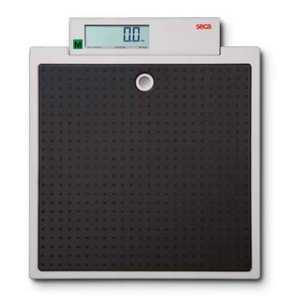 Seca 875 Flat Scales