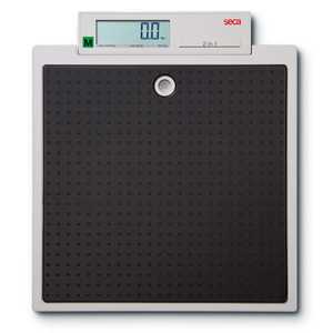 Seca 875 Flat Scales