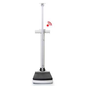 Seca 704 Column Scale