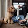 slider-image-3